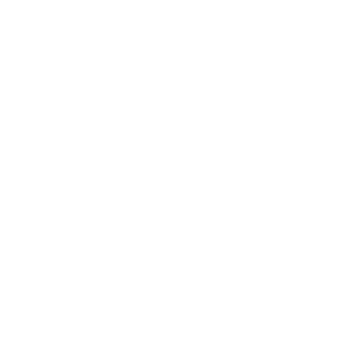 electrical inspection icon