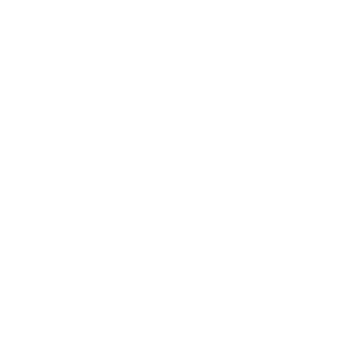 Spark plug icon with two lightning bolts, suggesting ignition or spark ignition system