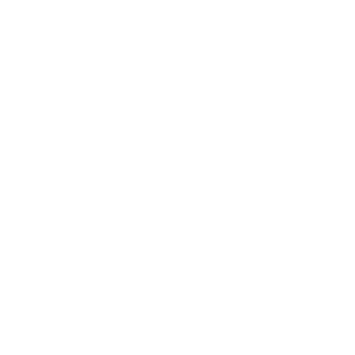 airport icon