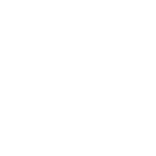 aviation icon