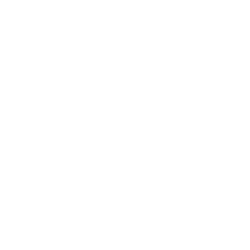 central park icon
