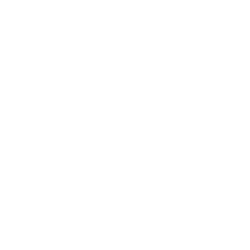 check list icon