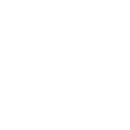 europe icon