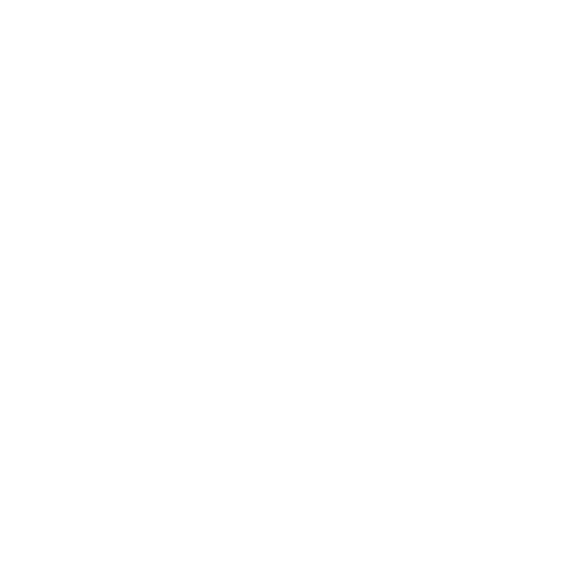 solemn icon