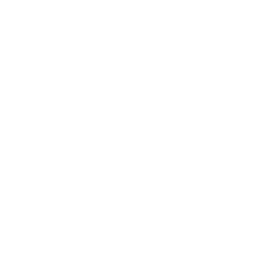 steamer icon