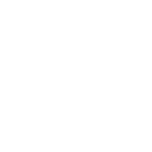 village icon